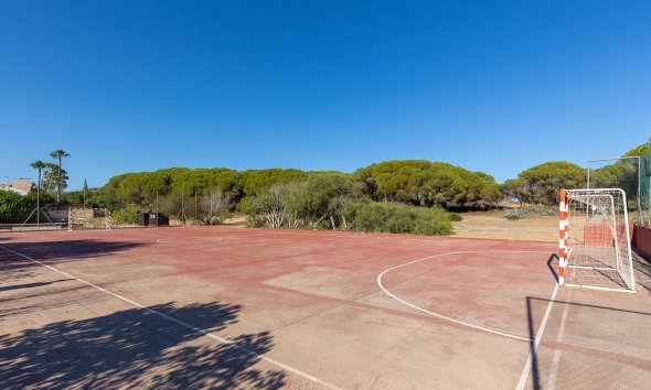 Resale - Apartment - Guardamar del Segura - Urb. pinomar