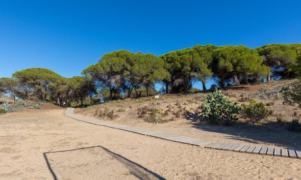 Resale - Apartment - Guardamar del Segura - Urb. pinomar