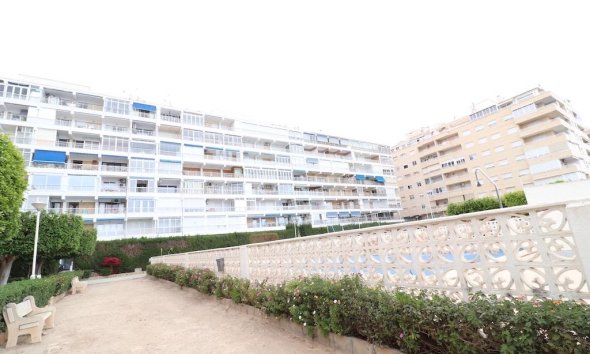 Rynek Wtórny - Apartament - Torrevieja