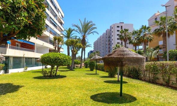 Resale - Apartment - Torrevieja - Rocio del Mar