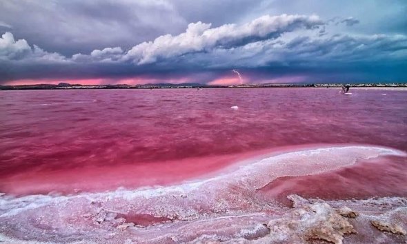 New Build - Apartment - Torrevieja - Centro