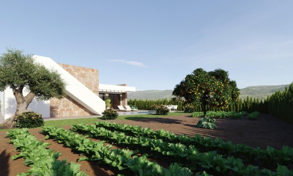 New Build - Villa - Fuente Álamo - Hacienda del Alamo