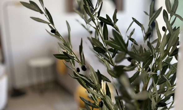 New Build - Terraced house / Townhouse - San Fulgencio - Pueblo