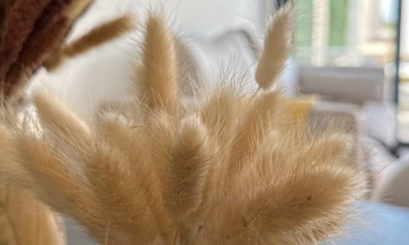 New Build - Terraced house / Townhouse - San Fulgencio - Pueblo