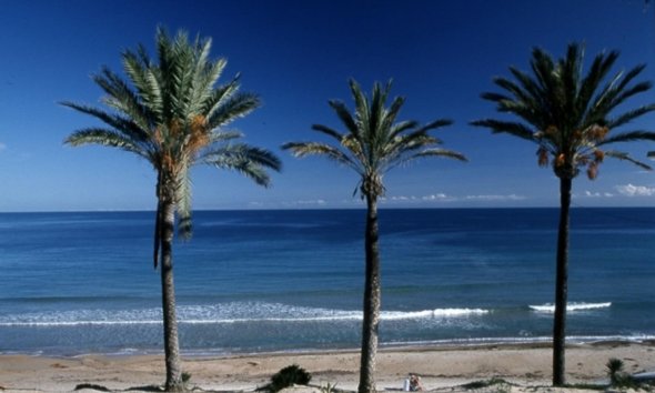 New Build - Terraced house / Townhouse - Pilar de la Horadada - Parque Ramon eugenio Escudero