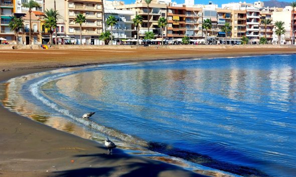 New Build - Terraced house / Townhouse - Fuente Álamo - La Pinilla