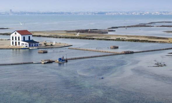 New Build - Villa - San Pedro del Pinatar - El Salero