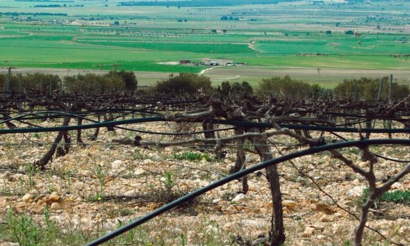 New Build - Villa - Yecla