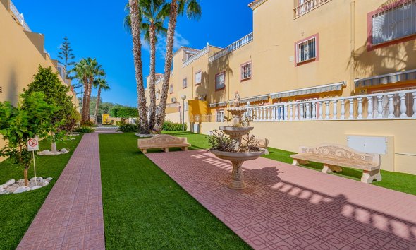 Resale - Apartment - San Miguel de Salinas - Orihuela Costa
