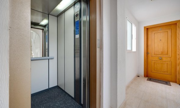 Reventa - Apartamento - Torrevieja - Playa del cura