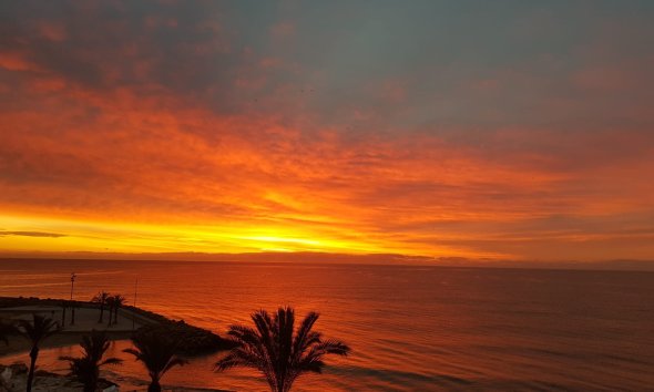 Resale - Apartment - Torrevieja - Playa del Cura