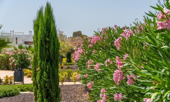 Rynek Pierwotny - Bungalow / Domek parterowy - Orihuela - Vistabella Golf