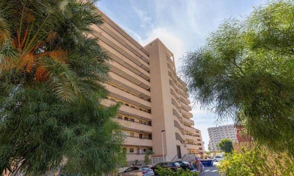 Resale - Apartment - Torrevieja - La Mata