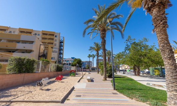 Reventa - Apartamento - Torrevieja - Estacion de autobuses