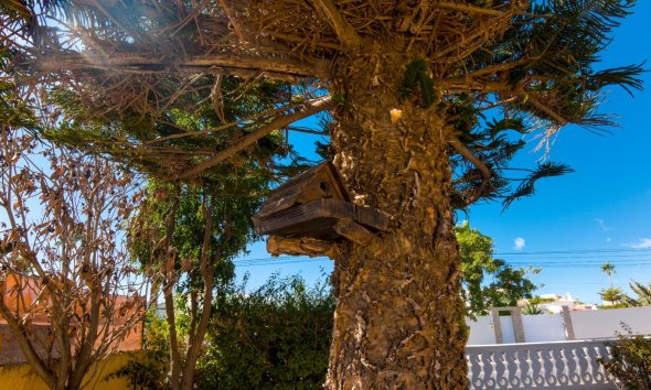 Resale - Villa - La Siesta - El Salado - Torreta - La Siesta