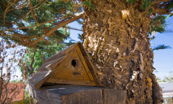 Resale - Villa - La Siesta - El Salado - Torreta - La Siesta