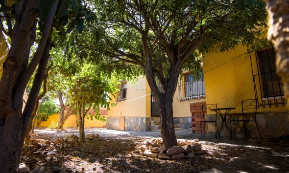 Resale - Villa - La Siesta - El Salado - Torreta - La Siesta