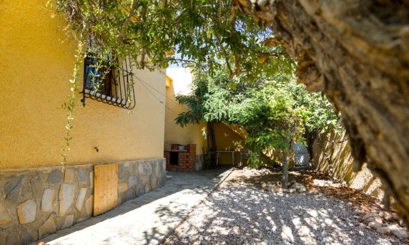 Resale - Villa - La Siesta - El Salado - Torreta - La Siesta