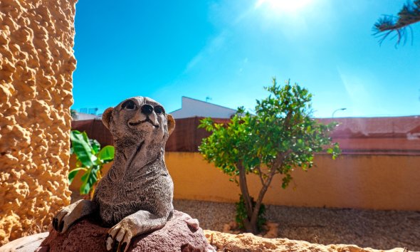 Resale - Villa - La Siesta - El Salado - Torreta - La Siesta