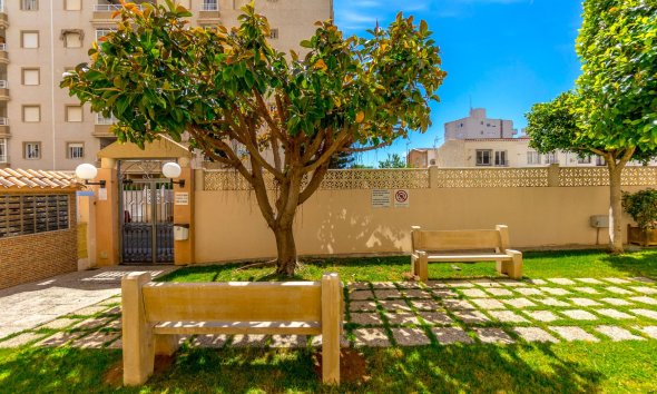 Resale - Apartment - Torrevieja - Centro