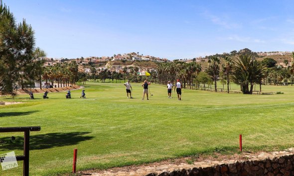 New Build - Villa - Rojales - Ciudad Quesada