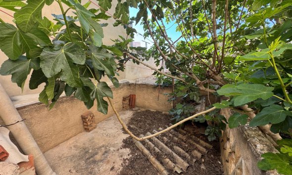 Resale - Villa - Benejúzar