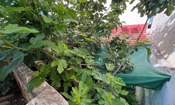 Resale - Villa - Benejúzar