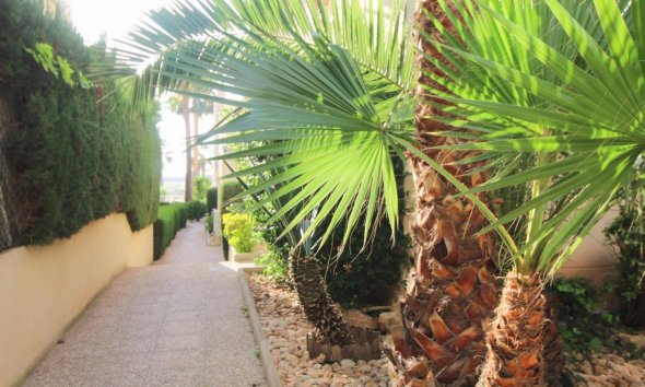 Resale - Apartment - Torrevieja - La Veleta