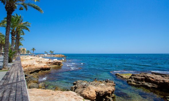 Reventa - Apartamento - Torrevieja - Playa del cura