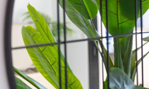 Resale - Apartment - Orihuela Costa - Playa Flamenca