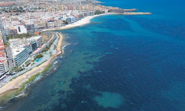 Reventa - Apartamento - Torrevieja - Playa del cura
