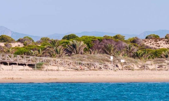 New Build - Bungalow - Guardamar del Segura - Pueblo