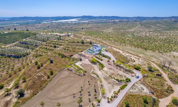 Resale - Villa - Torremendo