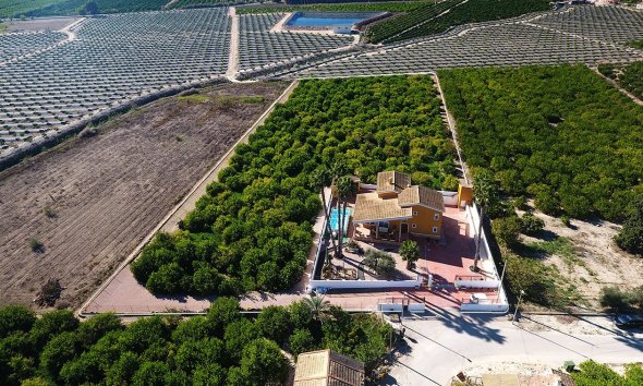 Rynek Wtórny - Dom na wsi - Orihuela