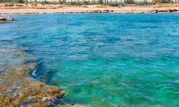 New Build - Apartment - Orihuela Costa - Punta Prima