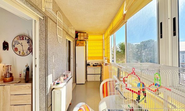 Reventa - Apartamento - Torrevieja - Rocio del Mar