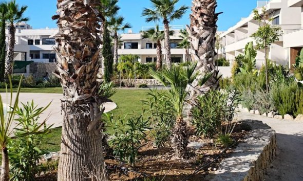 Resale - Apartment - Torrevieja - La Veleta
