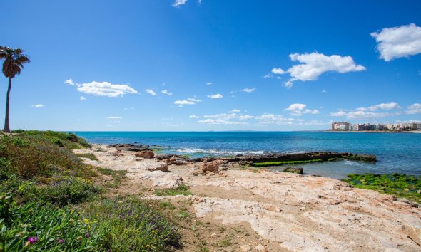 Rynek Wtórny - Apartament - Torrevieja - Centro - Muelle Pesquero