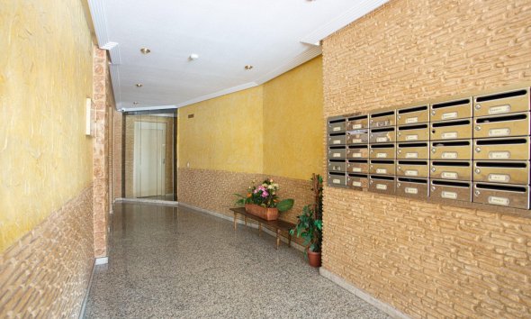 Rynek Wtórny - Apartament - Torrevieja - Centro