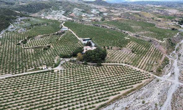 Reventa - Finca - Murcia - Rincón de Seca