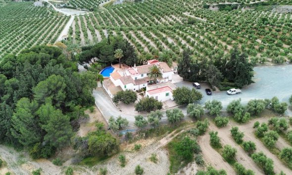 Reventa - Finca - Murcia - Rincón de Seca