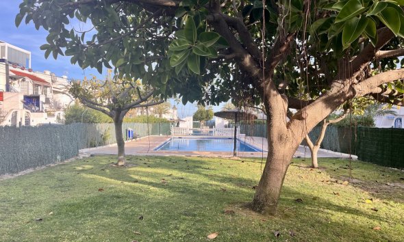 Rynek Wtórny - Apartament - Torrevieja