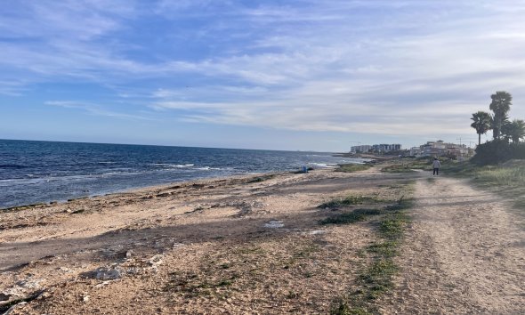 Rynek Wtórny - Apartament - Torrevieja