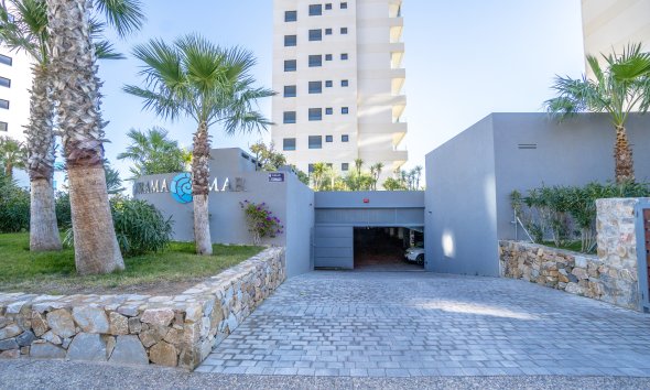 Reventa - Apartamento - Torrevieja - Punta Prima