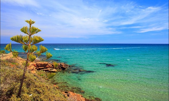 New Build - Villa - Torrevieja - Los Altos