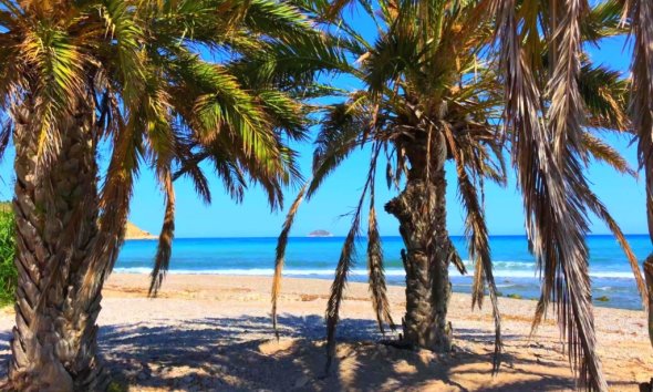 New Build - Apartment - Benidorm - Alicante