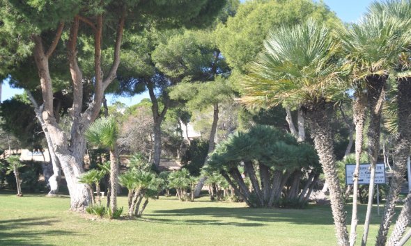 New Build - Villa - Orihuela Costa - Dehesa De Campoamor