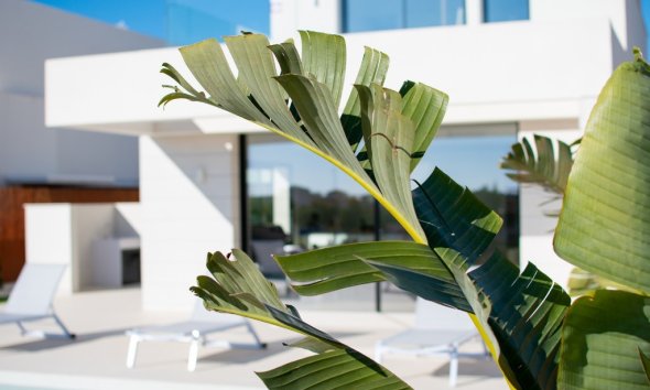 Obra nueva - Villa - Los Montesinos - La Herada