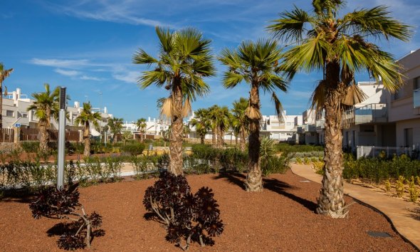 New Build - Apartment - Vistabella Golf - Vista Bella