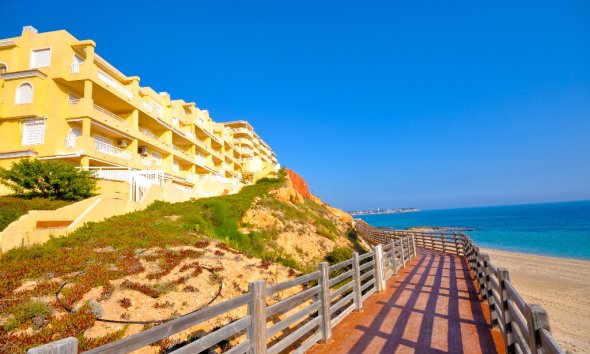 New Build - Villa - Orihuela Costa - Dehesa De Campoamor